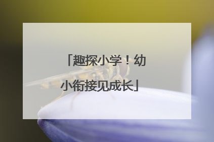 趣探小学！幼小衔接见成长