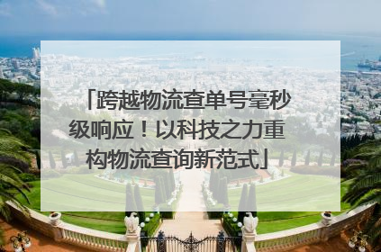 跨越物流查单号毫秒级响应！以科技之力重构物流查询新范式