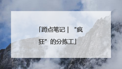 蹲点笔记｜“疯狂”的分拣工