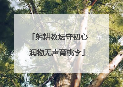 躬耕教坛守初心 润物无声育桃李