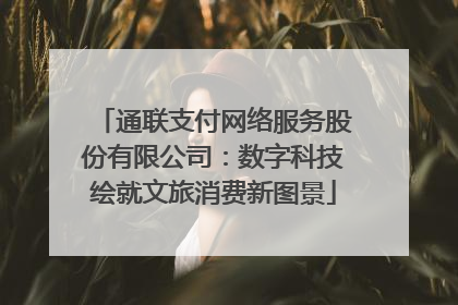通联支付网络服务股份有限公司：数字科技绘就文旅消费新图景