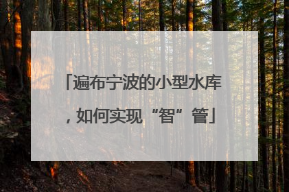 遍布宁波的小型水库，如何实现“智”管