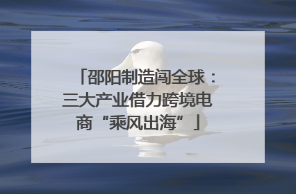 邵阳制造闯全球：三大产业借力跨境电商“乘风出海”