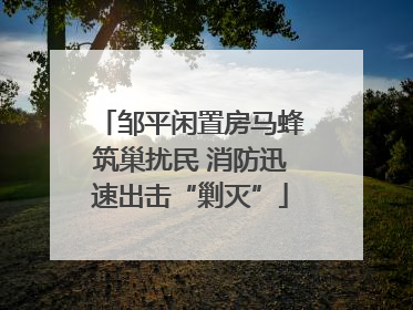 邹平闲置房马蜂筑巢扰民 消防迅速出击“剿灭”