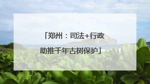 郑州：司法+行政助推千年古树保护