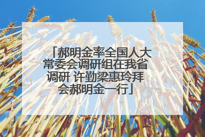 郝明金率全国人大常委会调研组在我省调研 许勤梁惠玲拜会郝明金一行