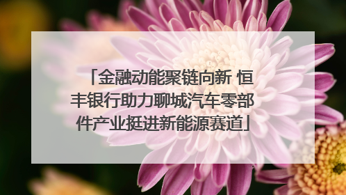 金融动能聚链向新 恒丰银行助力聊城汽车零部件产业挺进新能源赛道