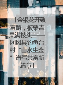金银花开致富路，板栗青果满枝头——团风县钓鱼台村“山水生金”谱写共富新篇章