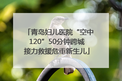 青岛妇儿医院“空中120”50分钟跨城接力救援危重新生儿