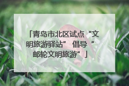 青岛市北区试点“文明旅游驿站” 倡导“邮轮文明旅游”