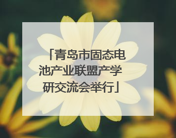 青岛市固态电池产业联盟产学研交流会举行