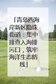 青岛西海岸新区隐珠街道：集中排查入海排污口，筑牢海洋生态防线