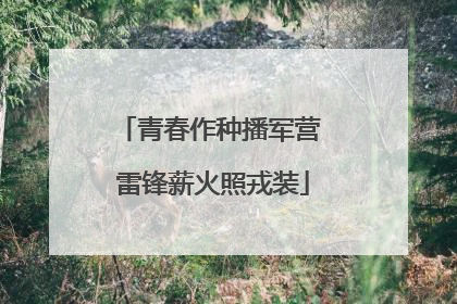 青春作种播军营 雷锋薪火照戎装