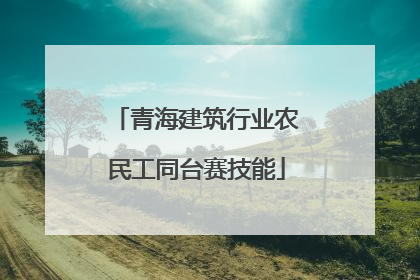青海建筑行业农民工同台赛技能