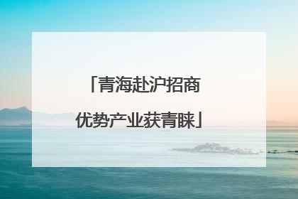 青海赴沪招商 优势产业获青睐