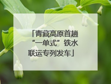 青藏高原首趟“一单式”铁水联运专列发车