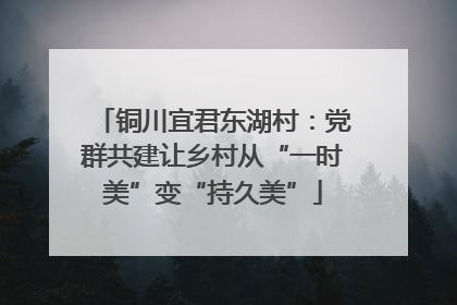 铜川宜君东湖村：党群共建让乡村从“一时美”变“持久美”