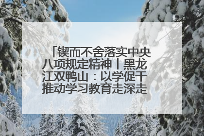 锲而不舍落实中央八项规定精神丨黑龙江双鸭山：以学促干推动学习教育走深走实 从小事入手写好“民生答卷”