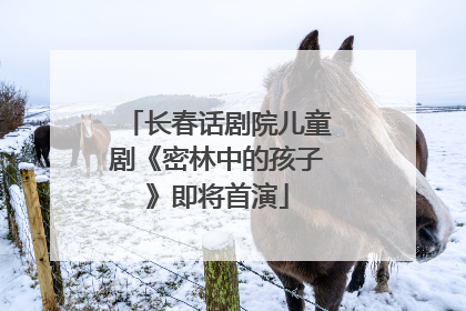 长春话剧院儿童剧《密林中的孩子》即将首演