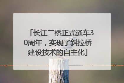 长江二桥正式通车30周年，实现了斜拉桥建设技术的自主化