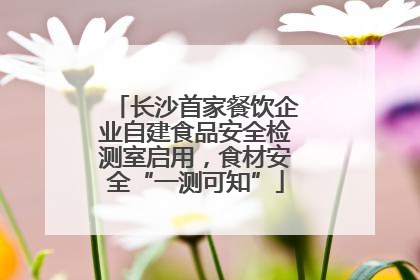 长沙首家餐饮企业自建食品安全检测室启用，食材安全“一测可知”