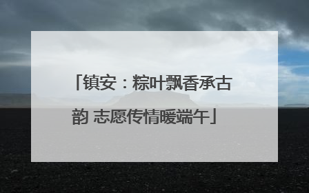 镇安：粽叶飘香承古韵 志愿传情暖端午