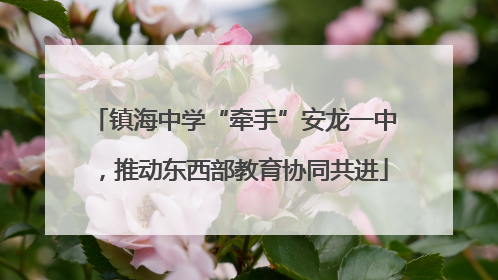 镇海中学“牵手”安龙一中，推动东西部教育协同共进