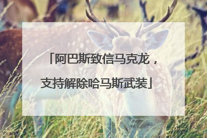 阿巴斯致信马克龙，支持解除哈马斯武装