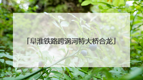 阜淮铁路跨涡河特大桥合龙