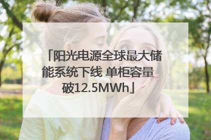 阳光电源全球最大储能系统下线 单柜容量破12.5MWh