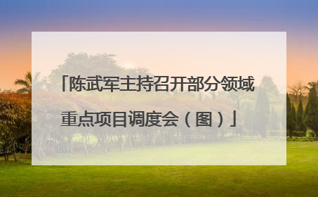 陈武军主持召开部分领域重点项目调度会（图）