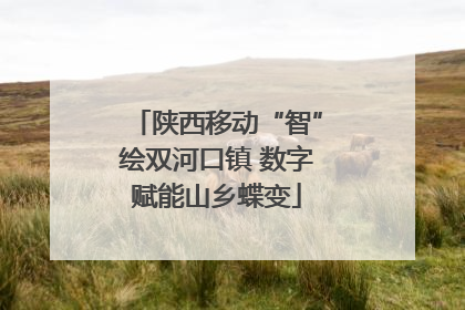 陕西移动“智”绘双河口镇 数字赋能山乡蝶变