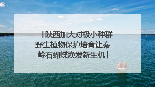 陕西加大对极小种群野生植物保护培育让秦岭石蝴蝶焕发新生机