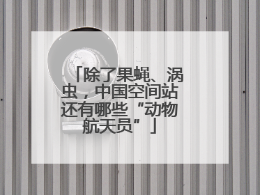 除了果蝇、涡虫，中国空间站还有哪些“动物航天员”