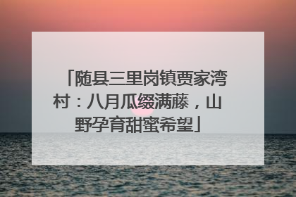 随县三里岗镇贾家湾村：八月瓜缀满藤，山野孕育甜蜜希望
