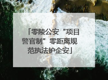 零陵公安“项目警官制”零距离规范执法护企安