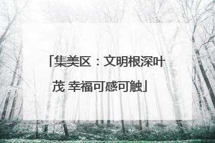集美区：文明根深叶茂 幸福可感可触