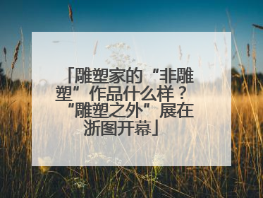 雕塑家的“非雕塑”作品什么样？“雕塑之外”展在浙图开幕