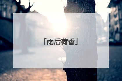 雨后荷香