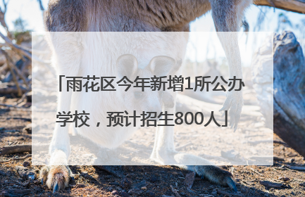 雨花区今年新增1所公办学校，预计招生800人