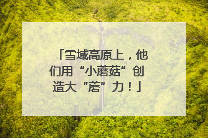 雪域高原上，他们用“小蘑菇”创造大“蘑”力！
