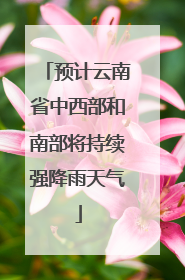 预计云南省中西部和南部将持续强降雨天气