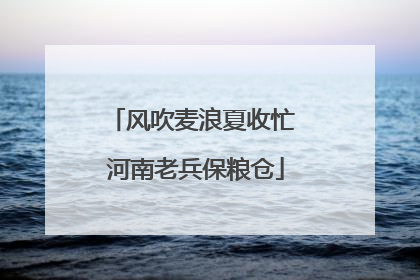 风吹麦浪夏收忙 河南老兵保粮仓