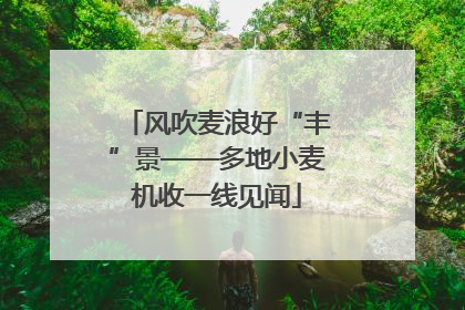 风吹麦浪好“丰”景——多地小麦机收一线见闻