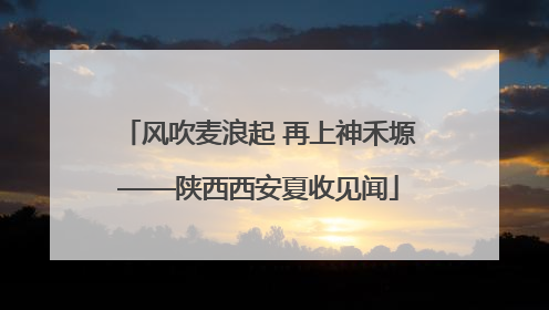 风吹麦浪起 再上神禾塬——陕西西安夏收见闻