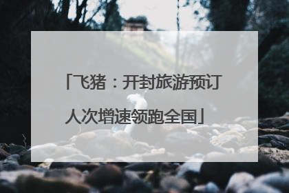 飞猪：开封旅游预订人次增速领跑全国