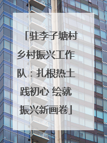 驻李子塘村乡村振兴工作队：扎根热土践初心 绘就振兴新画卷