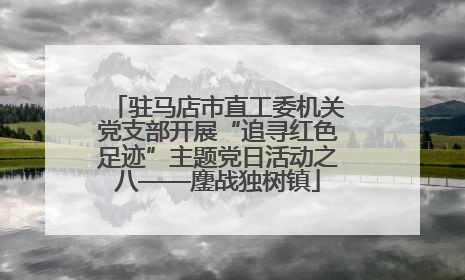 驻马店市直工委机关党支部开展“追寻红色足迹”主题党日活动之八——鏖战独树镇