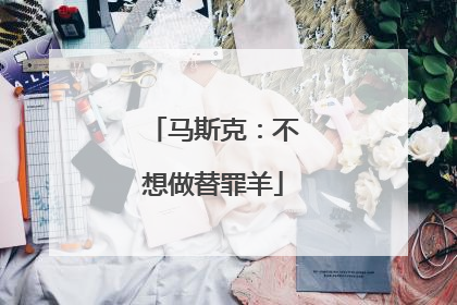 马斯克：不想做替罪羊