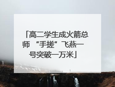 高二学生成火箭总师 “手搓”飞燕一号突破一万米